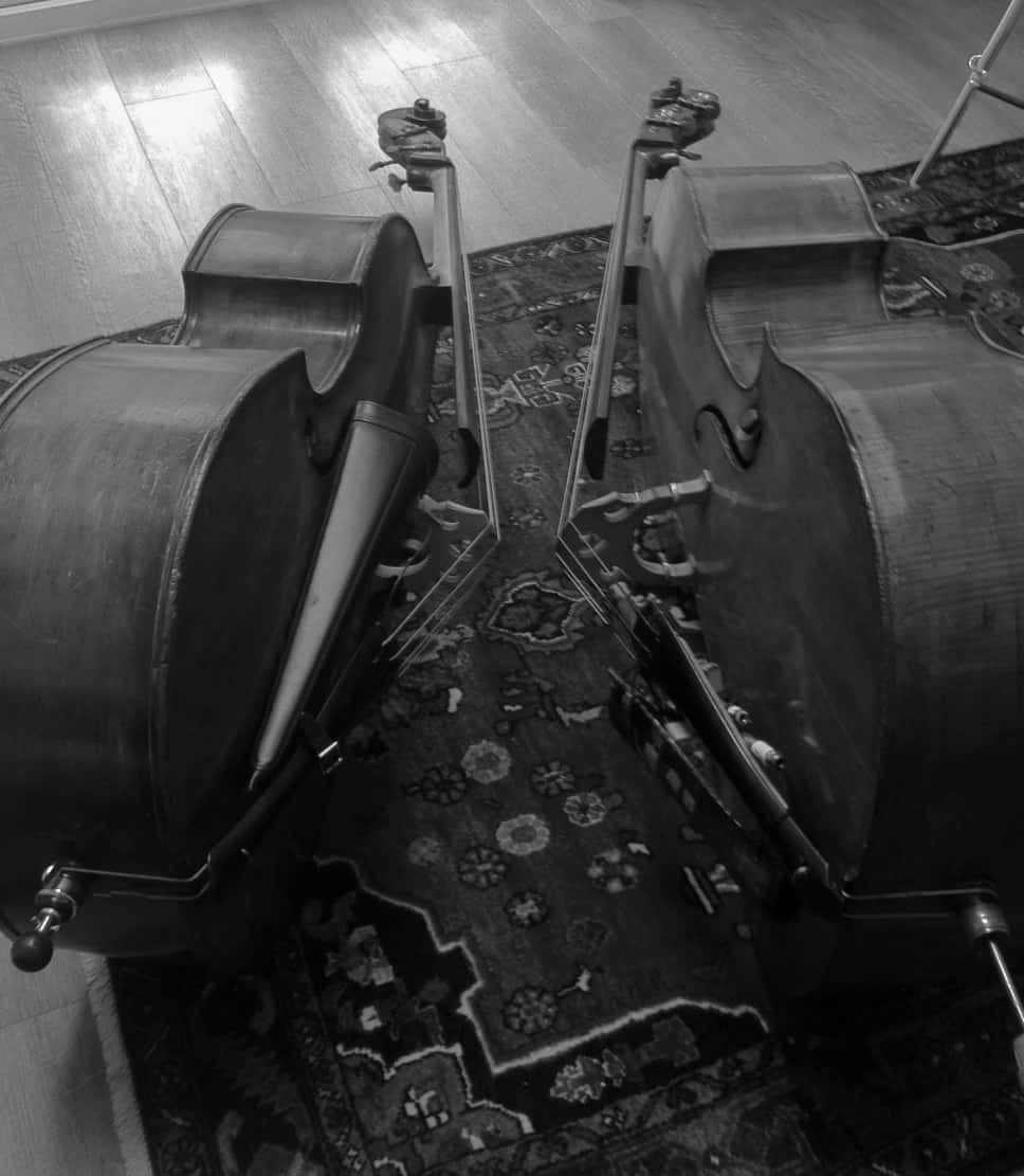 Jen's bass meets Victoria, Danny Thompson's bass